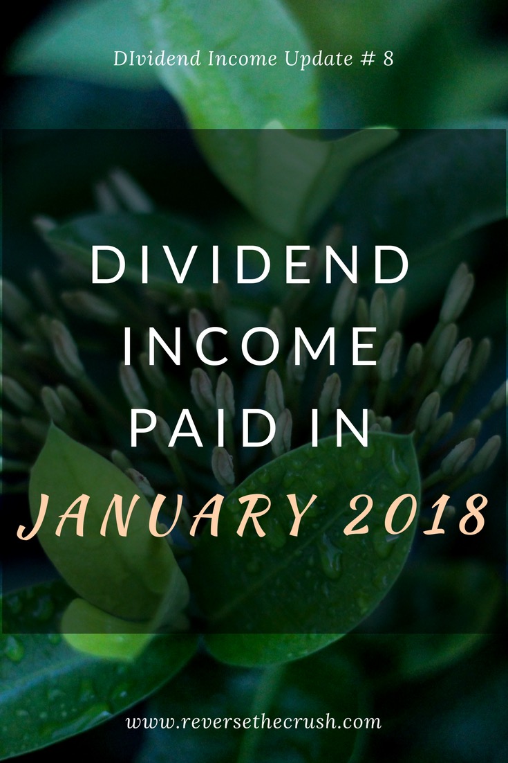 dividend income paid