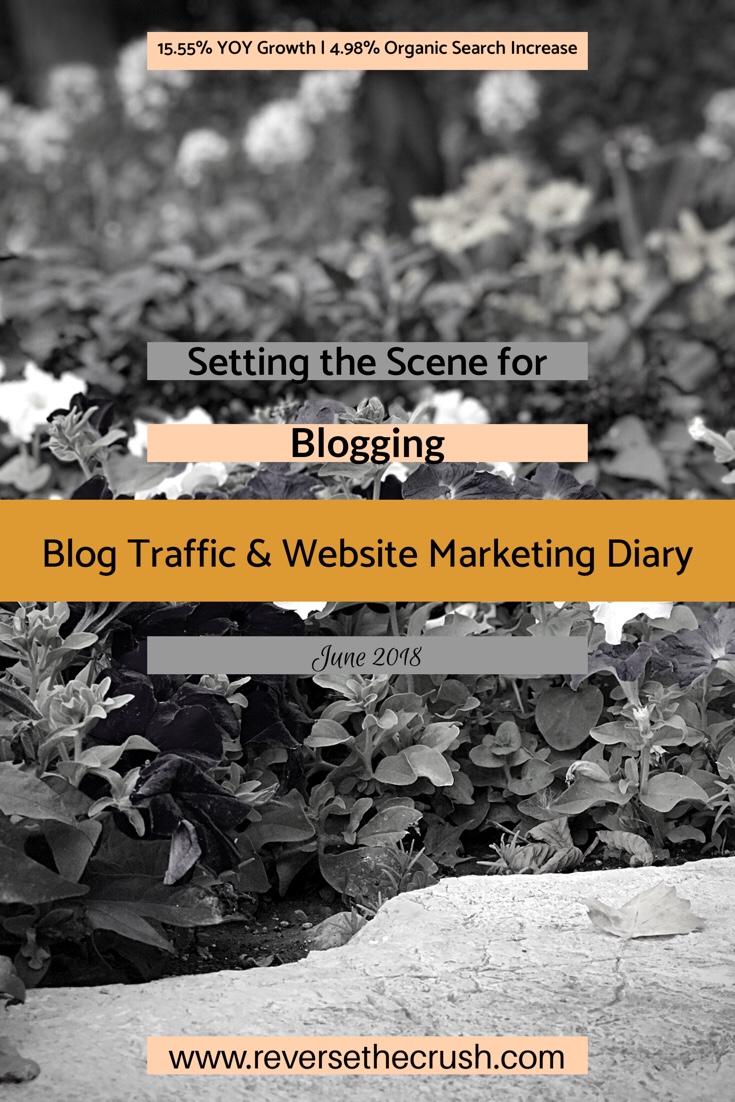 Setting the Scene for Blogging | Blog Traffic & Website Marketing Diary - June 2018 - REVERSE THE CRUSH