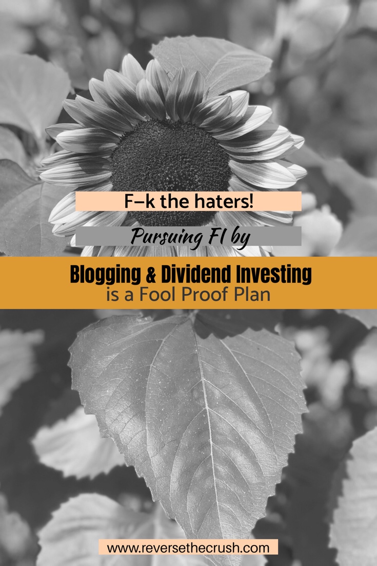 F--K the haters! Pursuing FI by Blogging & Dividend Investing is a Fool Proof Plan