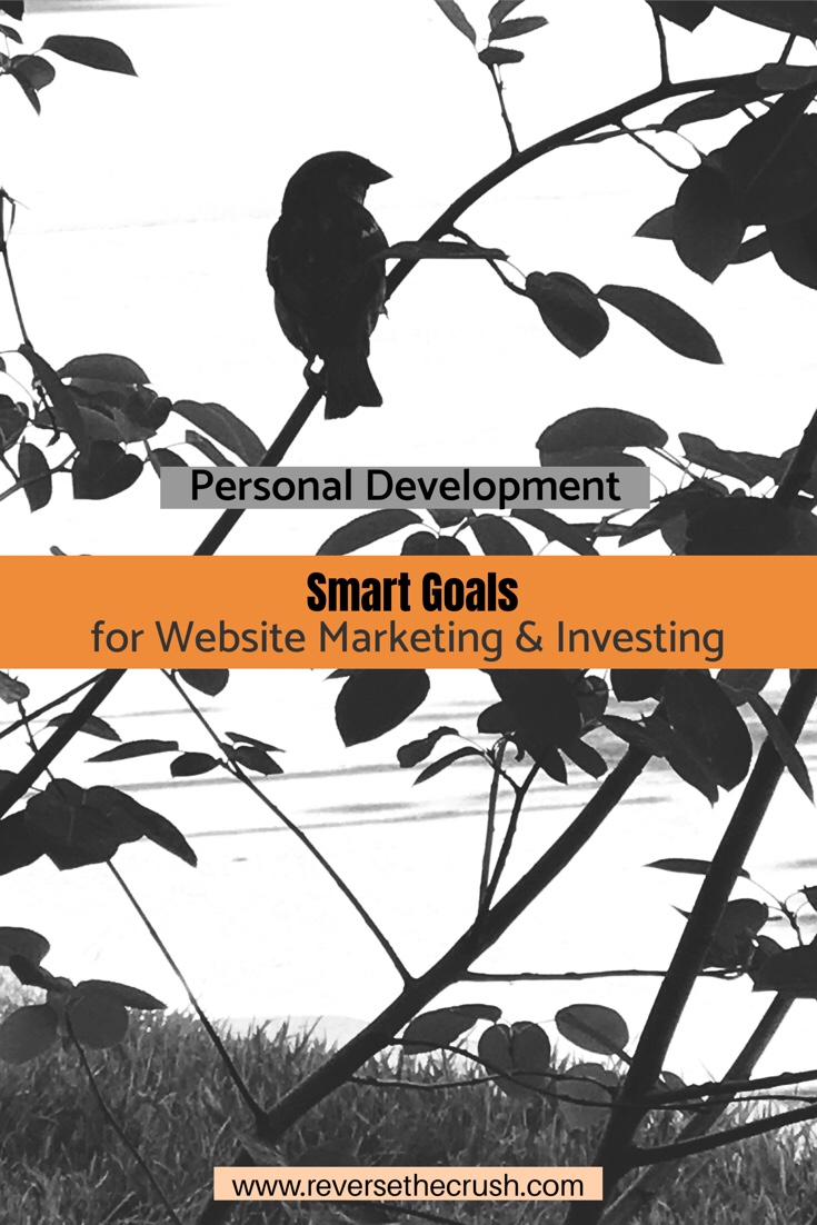 Smart Goals for Website Marketing & Dividend Investing