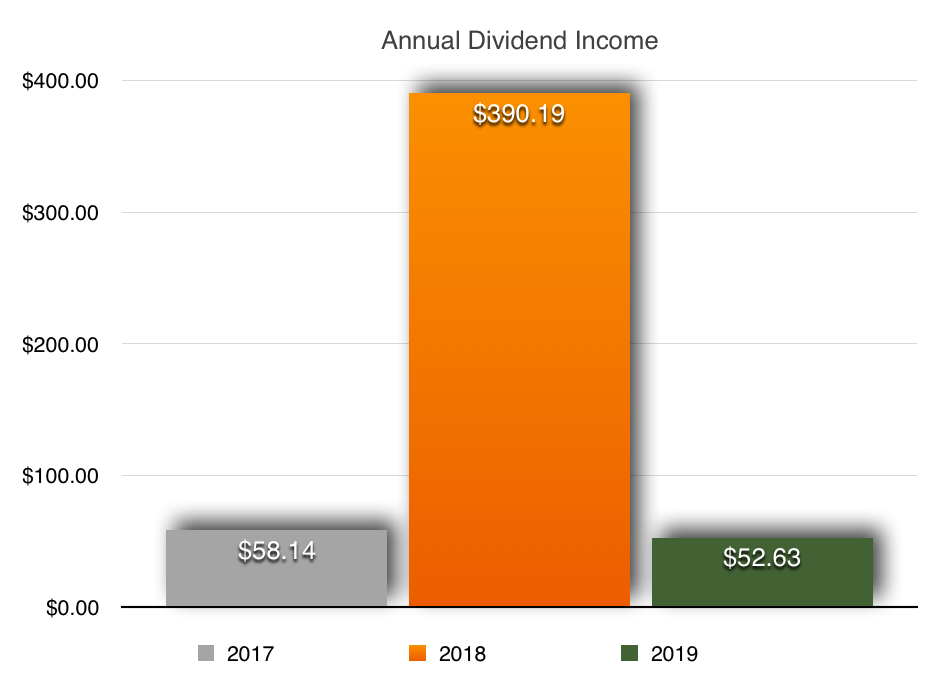 Dividend Income Update for January 2019