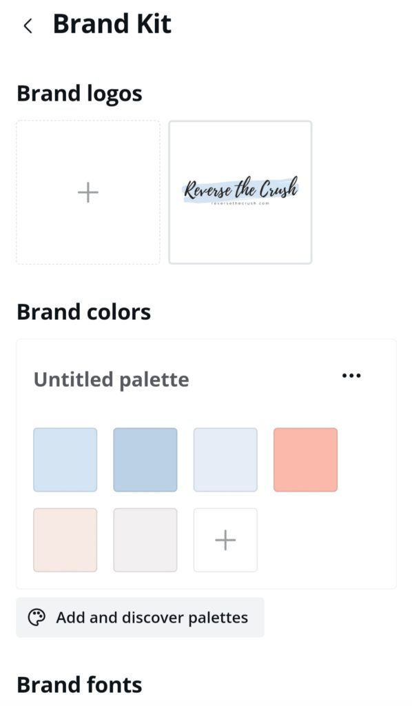 Example of the Canva Pro brand kit