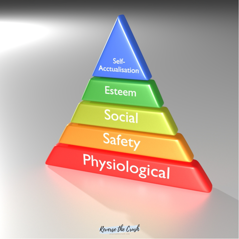 Maslow's Hierarchy Of Needs 