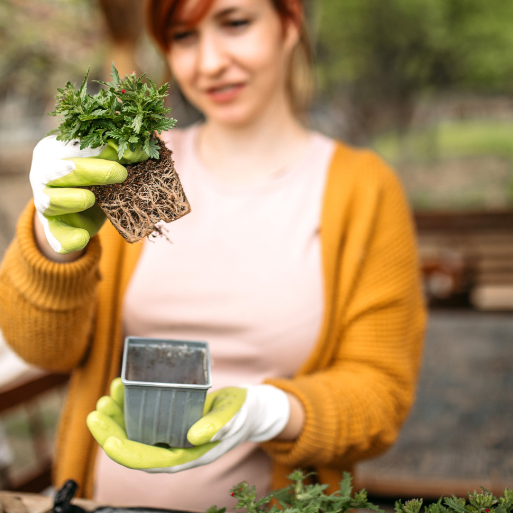 Gardening as a hobby - hobbies that make money